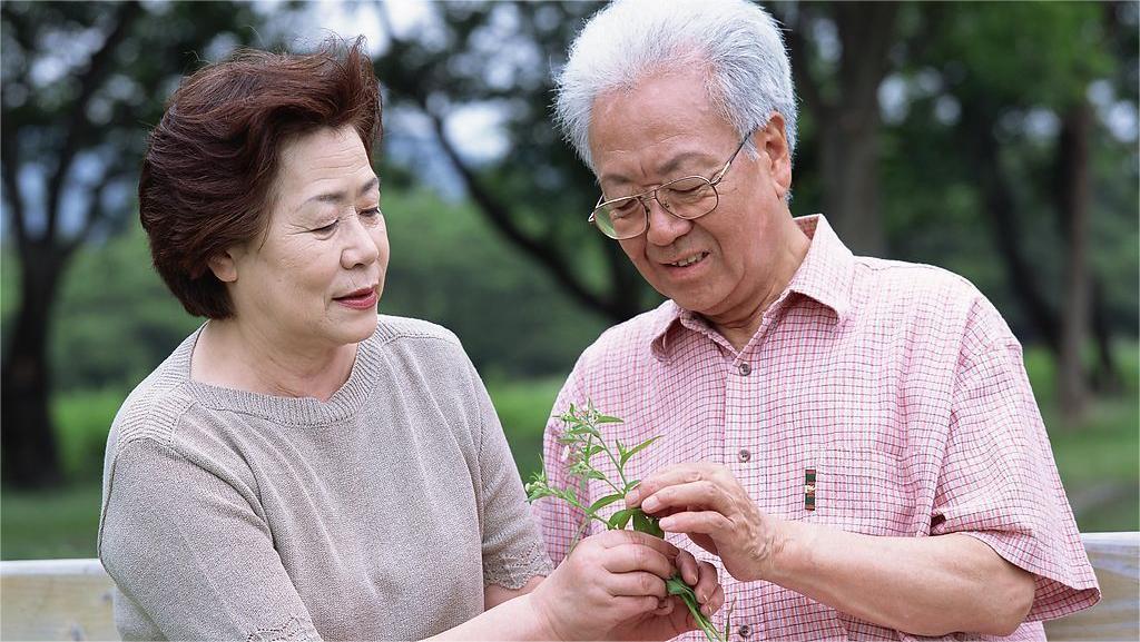 過午不食是什麼來頭?可以改善血糖,減體重嗎?