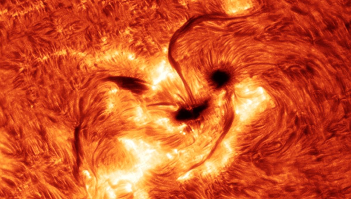 太阳黑子是什么?太阳温度那么高,太阳黑子为什么是黑的?
