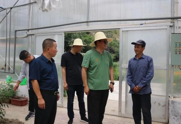 【西和帮扶】省政协副秘书长张效林深入蒿林乡调研"双椒"产业