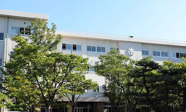 新泄大学图片