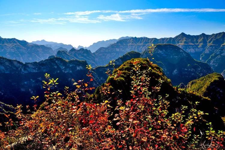 「晋城」最美不过山里泉的秋天