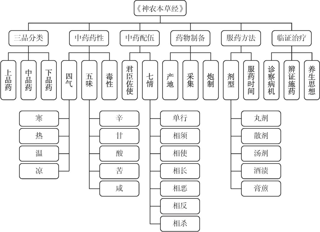 抓一把中药,服下一帖骄傲