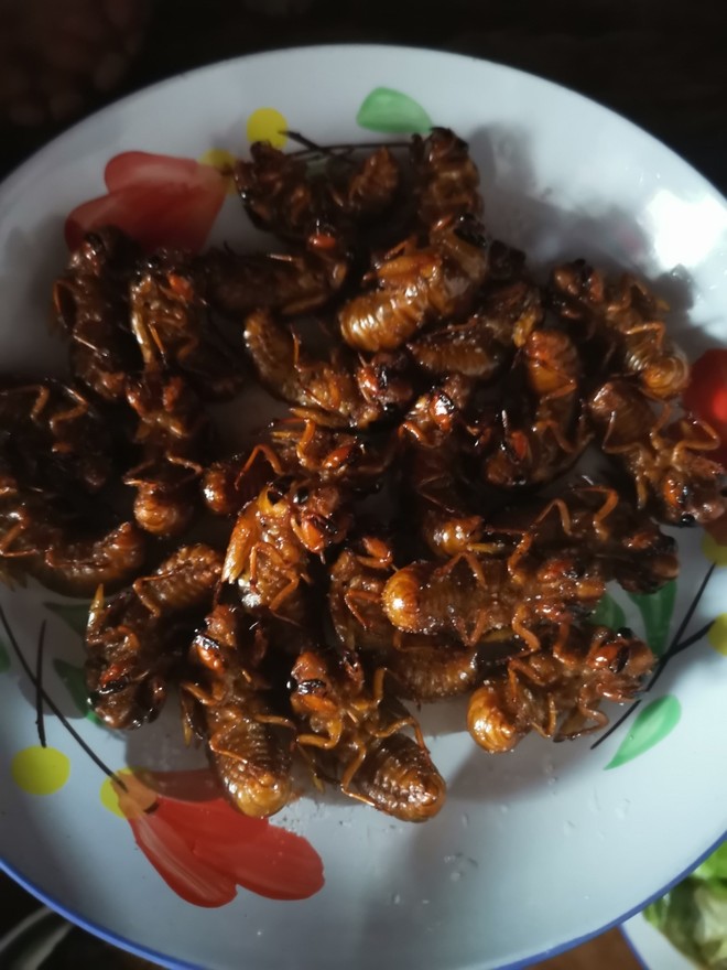 知了猴,知了猴,知了,知了