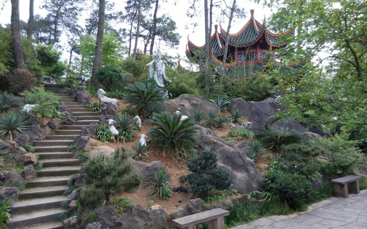 我国南方最大的生态主题庄园走红,冬暖夏凉温润宜人,位于衡阳