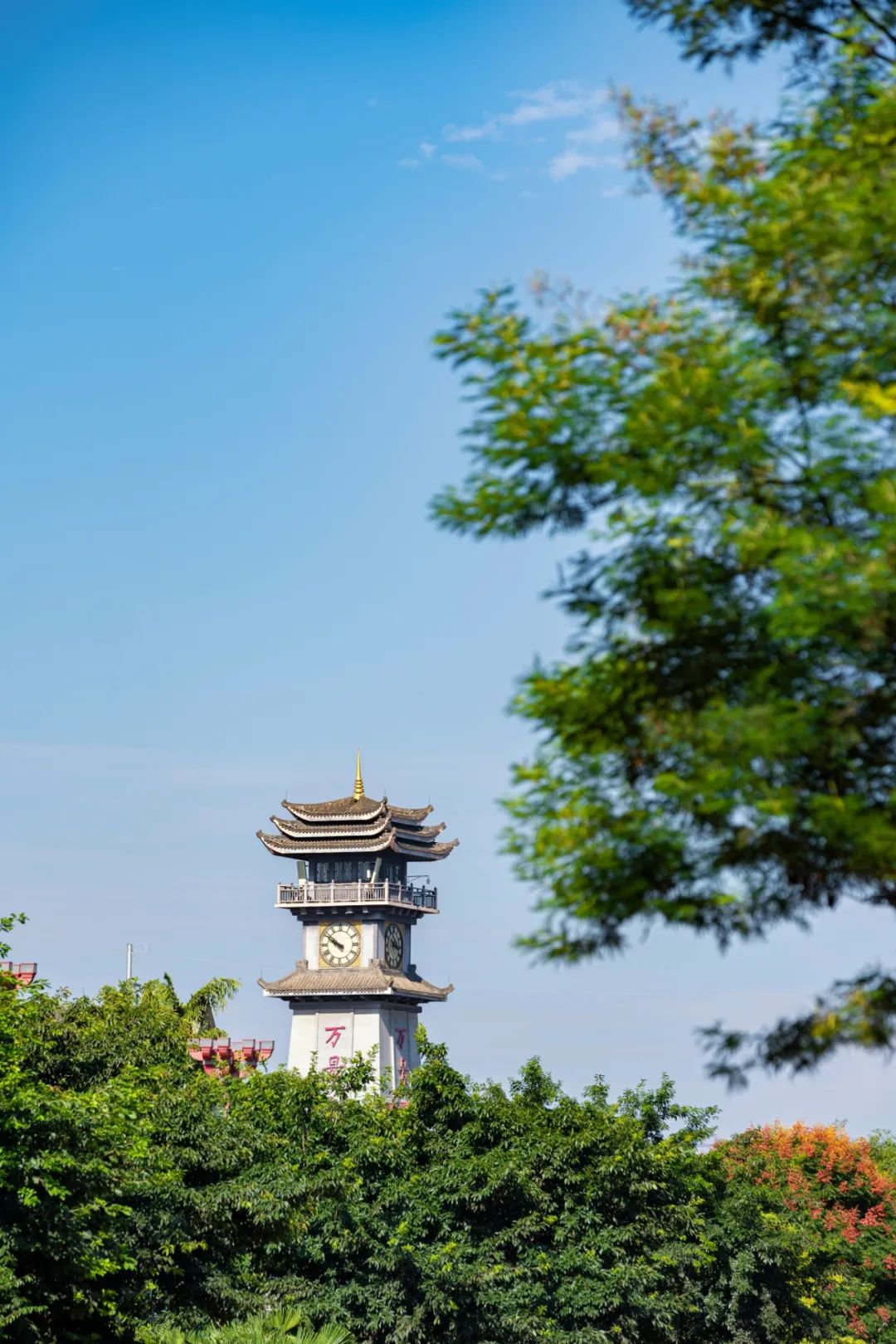 你好我是丹棱