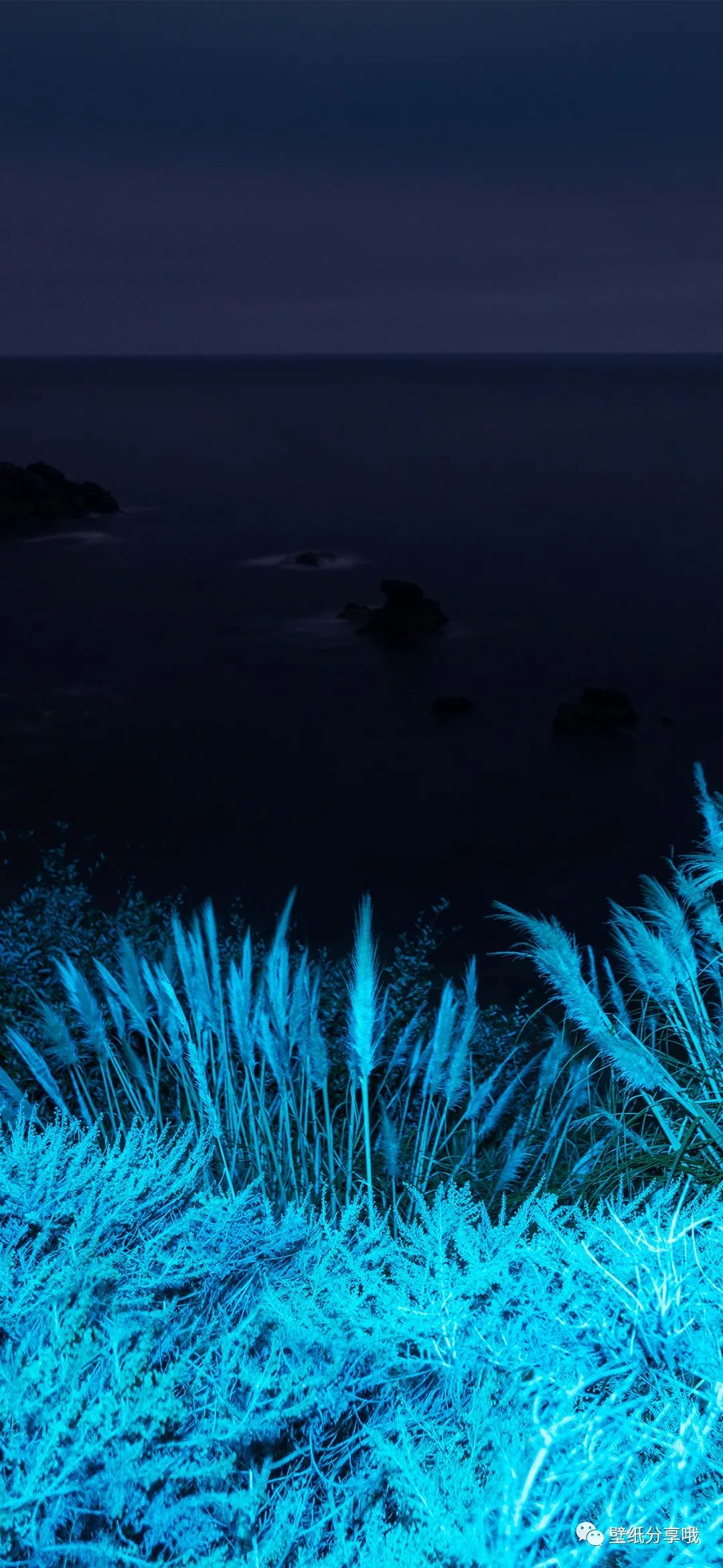 超5k分辨率的苹果电脑最新壁纸!macos big sur 测试版原生提取