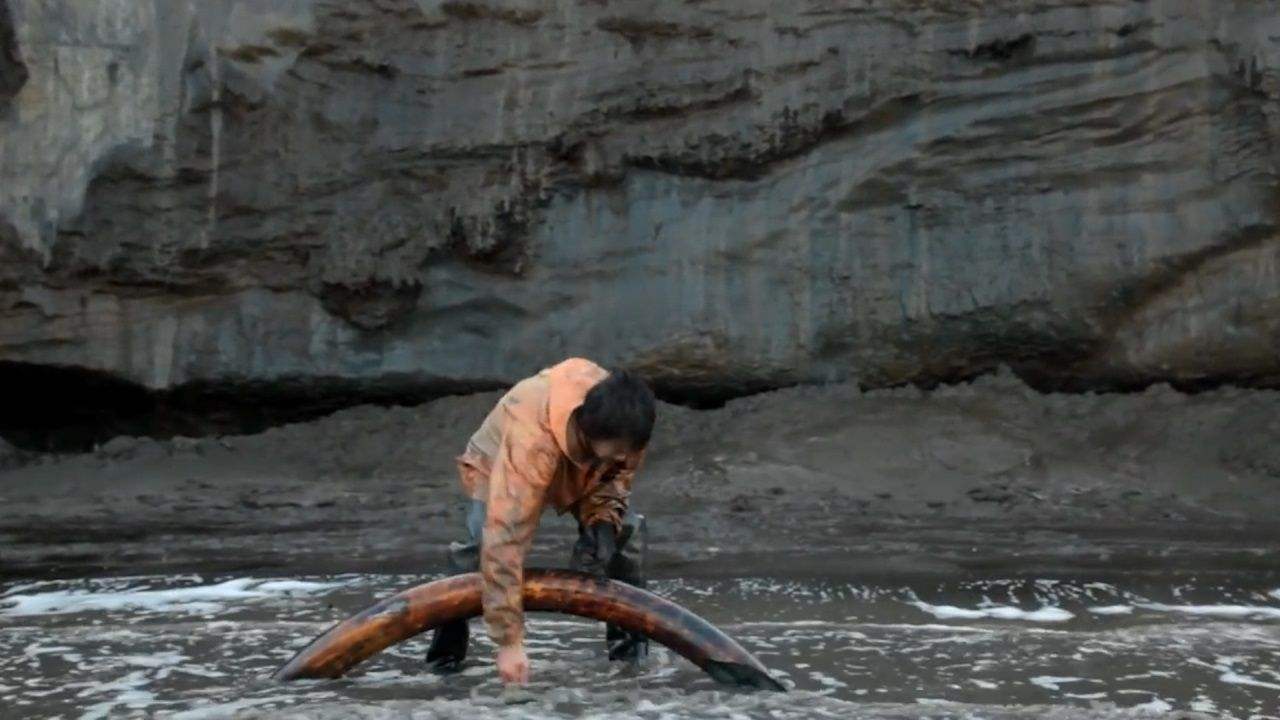 年薪1300万的"挖尸人"挖出一根能卖180万,为什么当地人都不去