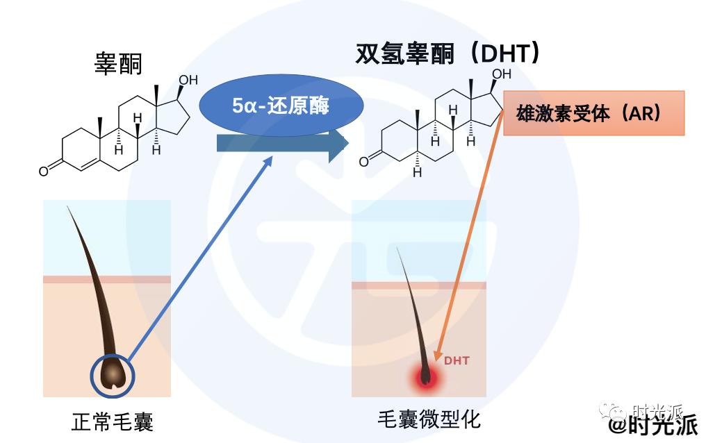 二氢睾酮图片