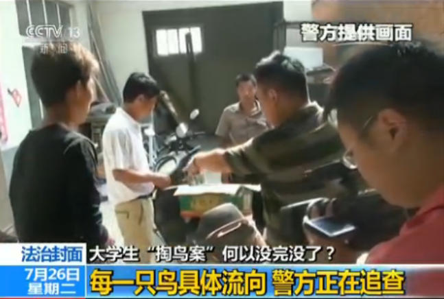 河南大学生抓16只鸟被判10年其父喊冤他只是个孩子