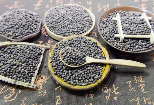 白布药材栽培技巧,让你轻松成为种植达人!