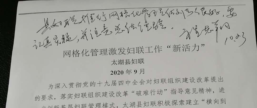 太湖縣委書記程志翔就縣婦聯微網格工作做出批示