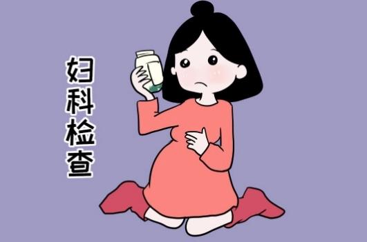 真的假的?饶颖曝赵忠祥"丑闻":他有特殊癖好,折磨我7年害我得病