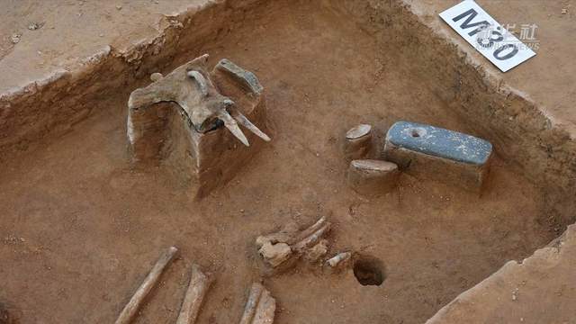 新华社:河南郑州商城遗址发现商代中期高等级贵族墓葬区