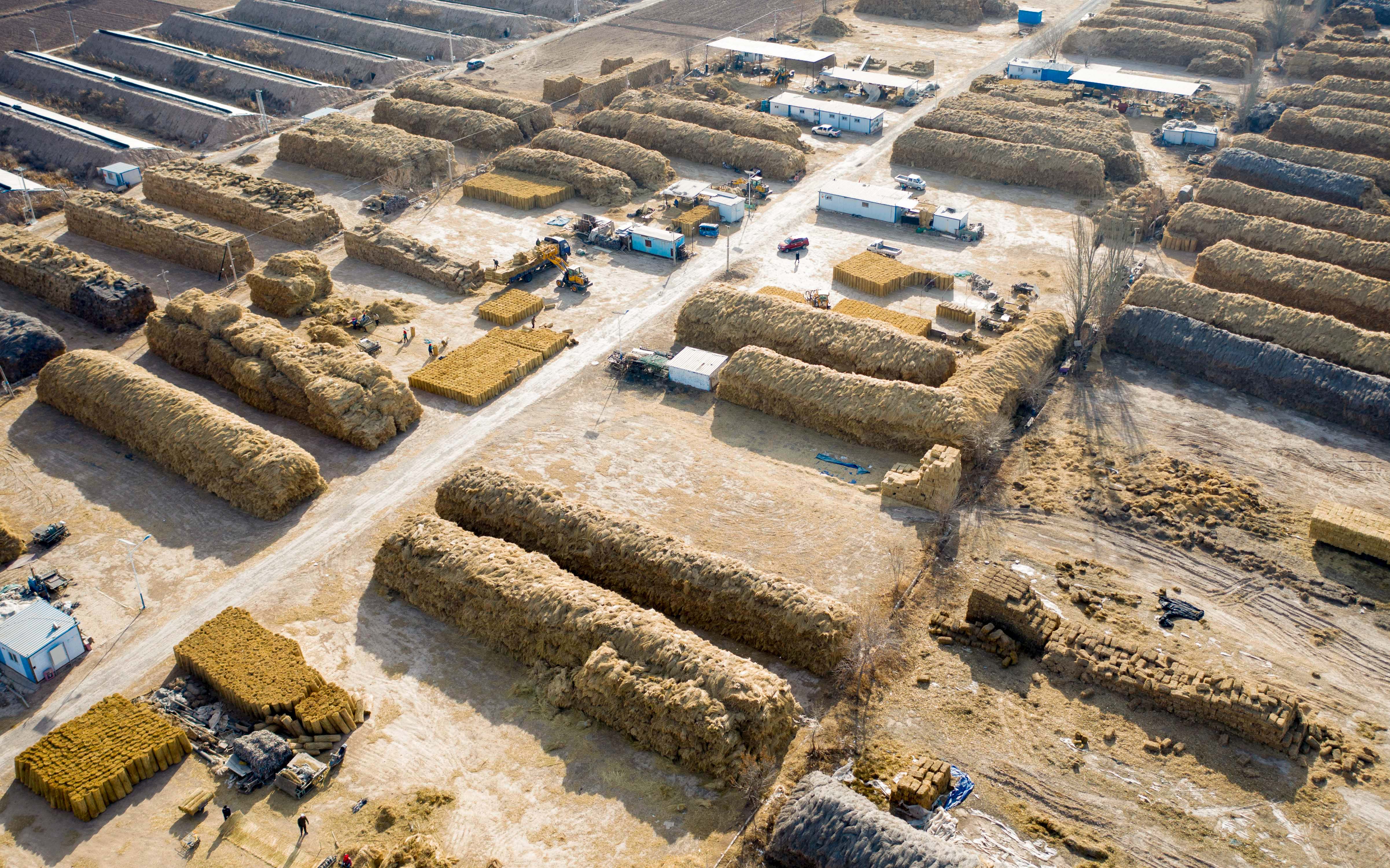 宁夏灵武:点"草"成金(1)