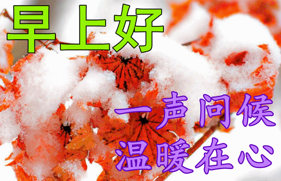保持最好心态的正能量文案,美好温馨的早上好问候语句子
