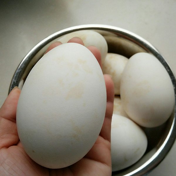 孕妇吃鹅蛋有什么好处（孕妇吃鹅蛋几天吃一回）
