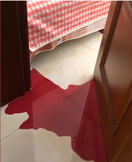 河北:地上有一滩"血",好似凶案现场,女子开门后让她哭笑不得