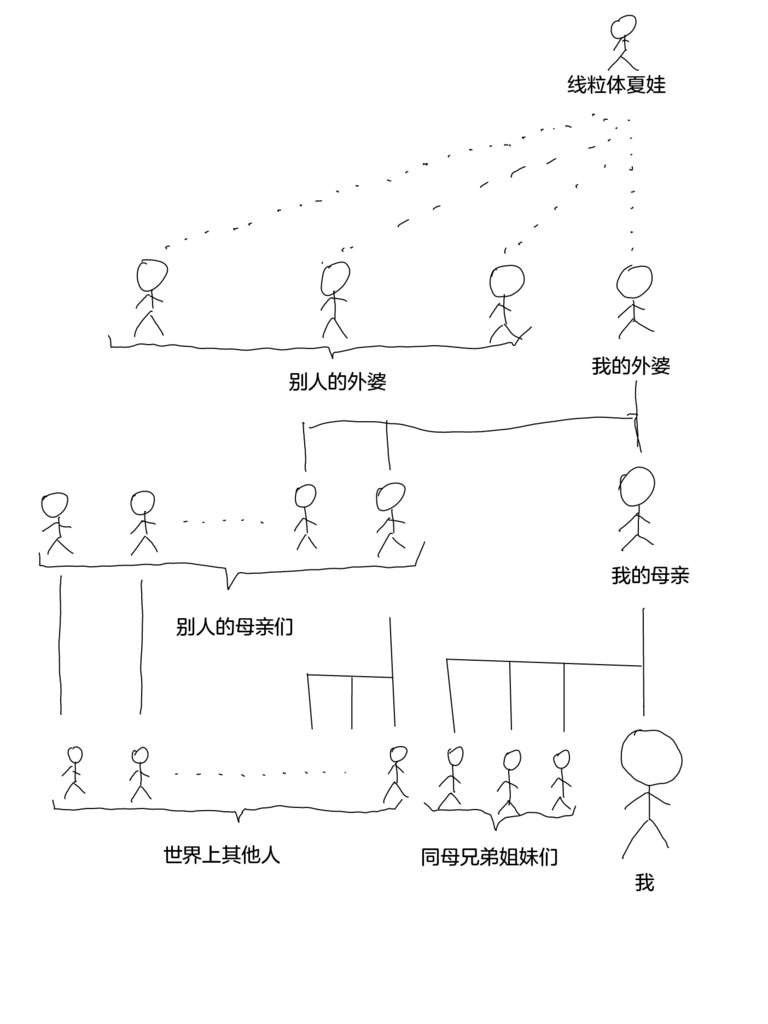 "线粒体夏娃"是怎么一回事?是说她是我们每个人的祖先么?