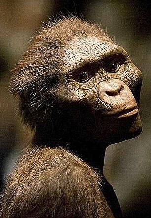 有人说人类是猴子变来的,为什么现在的猴子没变成人?