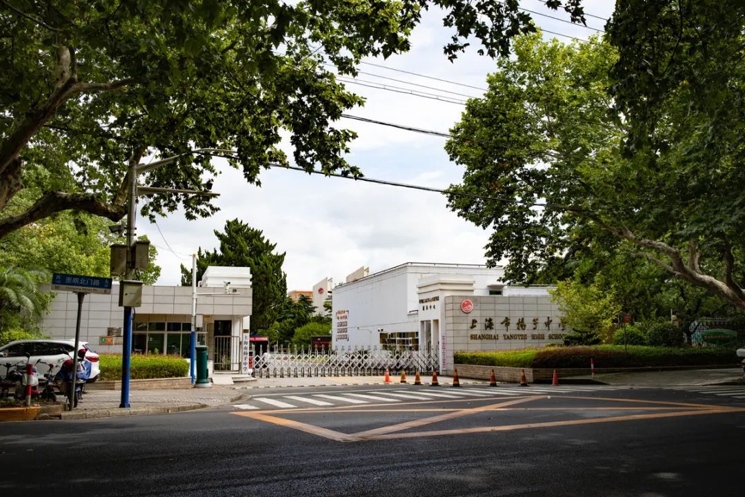 崇明这条路上,是否留下你们的回忆?