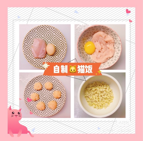 自制猫粮的最佳配方:鸡胸肉配鸡蛋,简单又美味