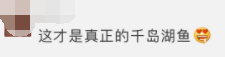 热点|新安江水库飞出上百元一斤的千岛湖?胖头鱼？场面震撼！官方：别去