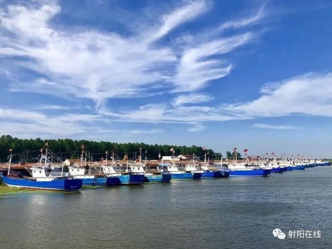 向海而生,依海而兴!射阳黄沙港全力打造特色渔港"金名片"