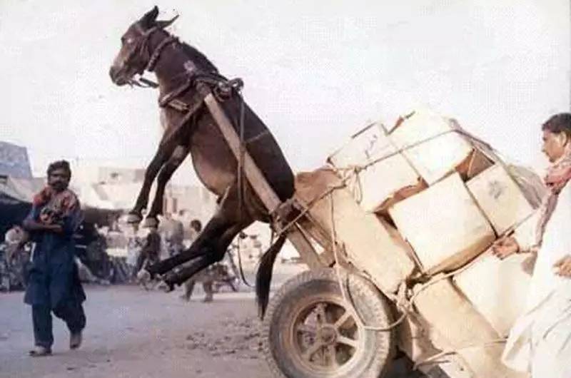 莫让你家壁挂炉温控器成为摆设,做好这4点节能30%也不是不可能