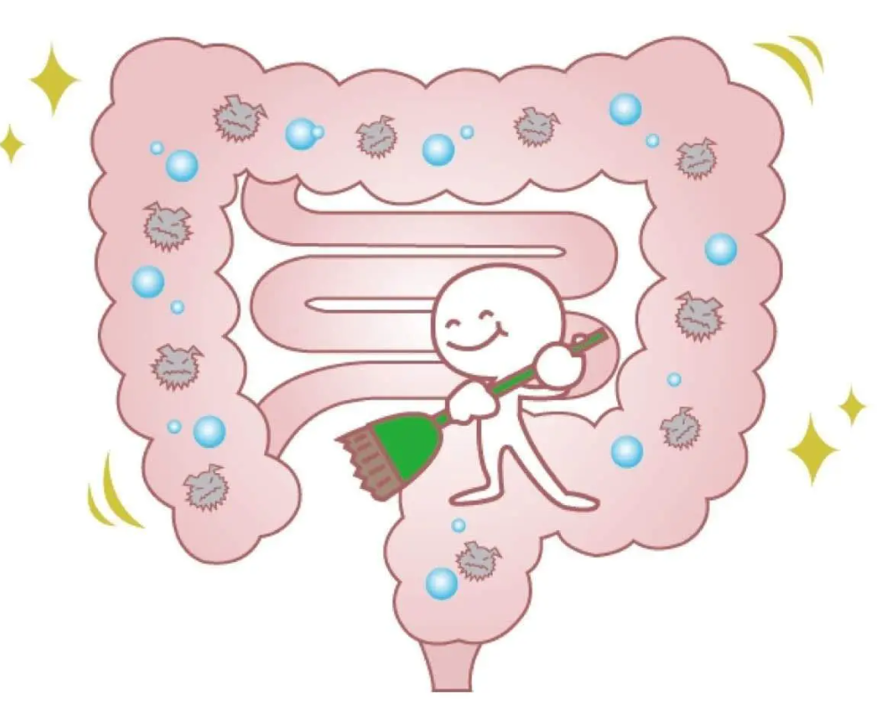 7种方法保持肠道健康