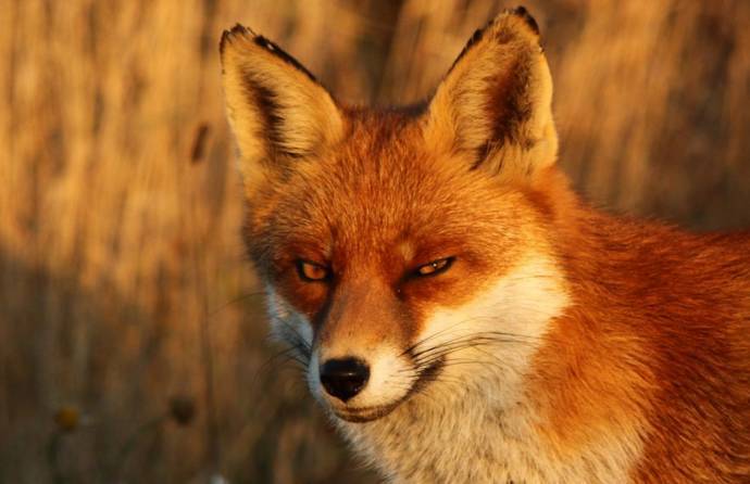 7月流量见底破产,国际律用血浓于水裹挟许敏失放,抗诉仍在继续