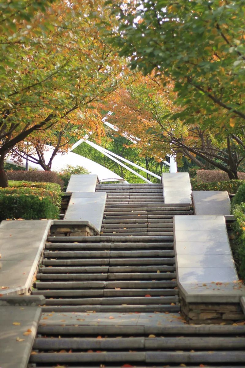 当永阳公园开启了秋色滤镜.