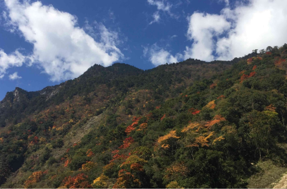 冬有雪山冰瀑的特色,東拉山大峽谷相當美,讓人流連忘返