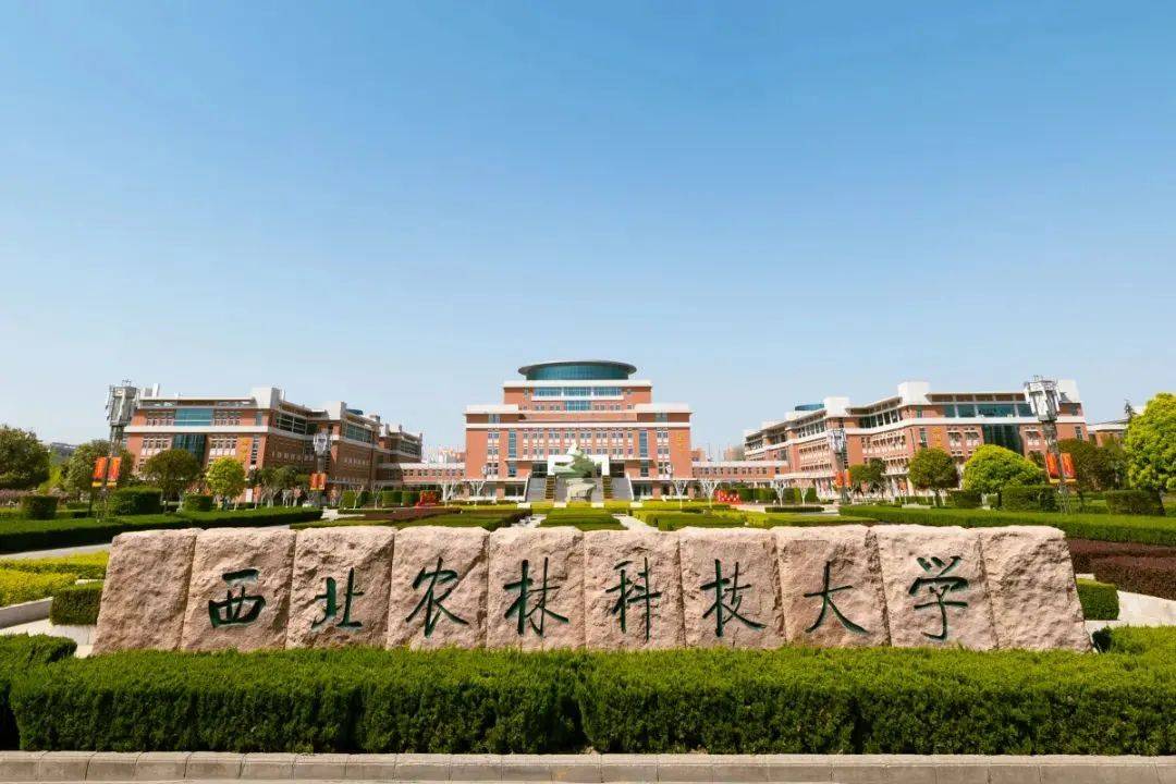 西北农林科技大学校门图片