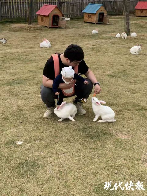 小心,小白兔會咬人!南京一野生動物園一天內三幼兒傷了手指