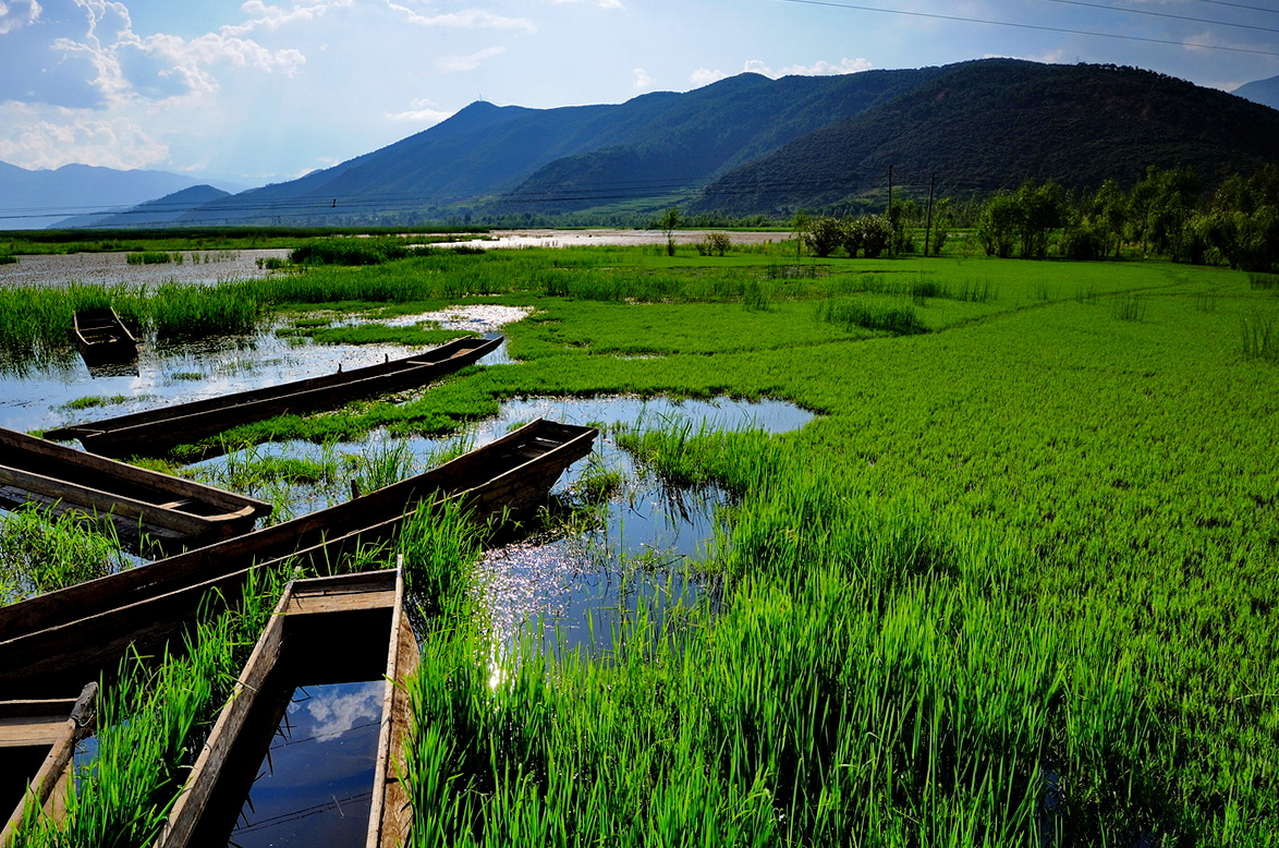 7天时间去云南旅游去哪些地方比较好