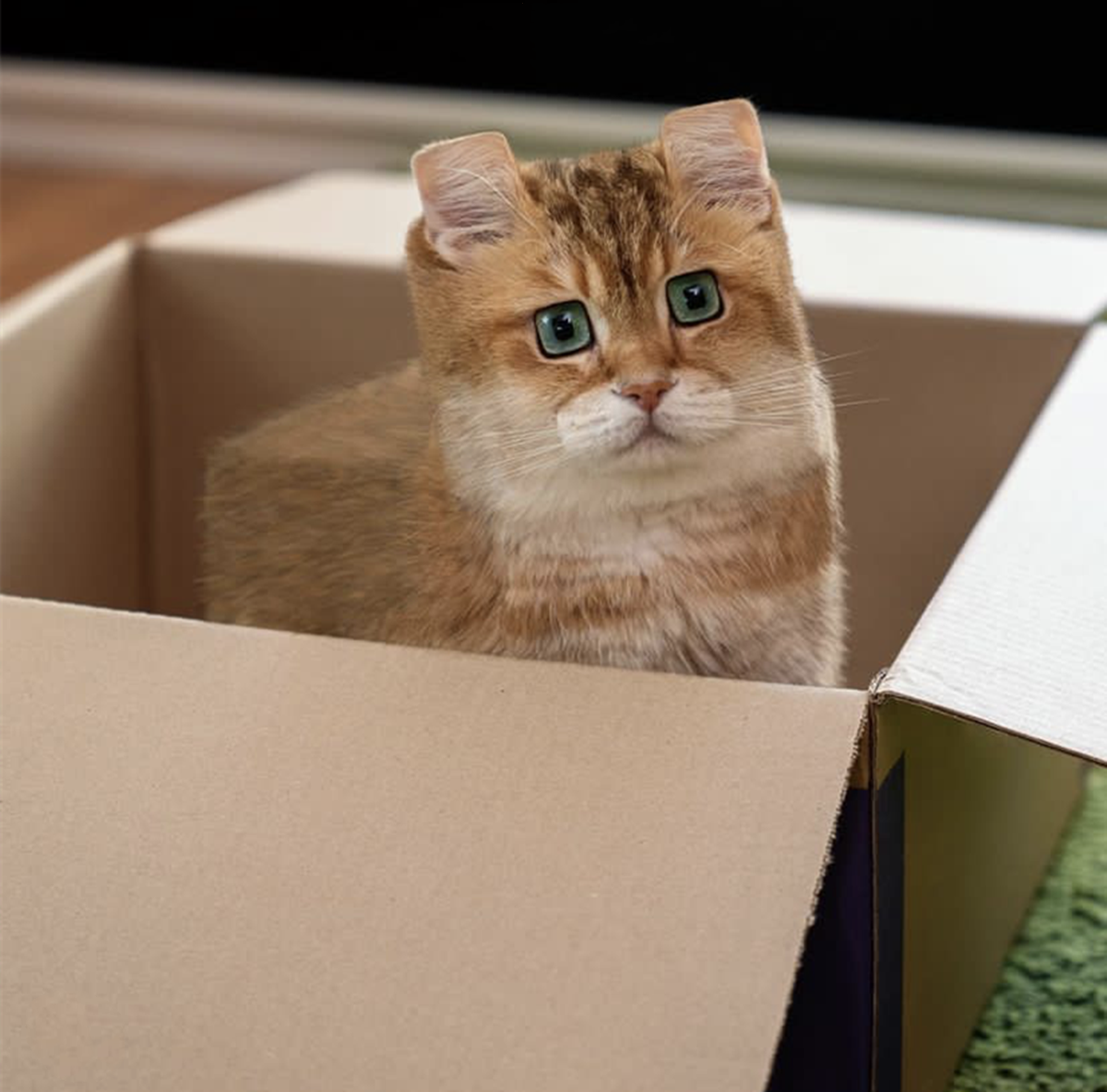 当动物变成方块形状,如果像素再低一点,就和我的世界里面一样了