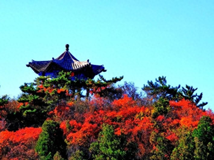 古晋阳八景之一!太原龙山红叶秋意醉美!