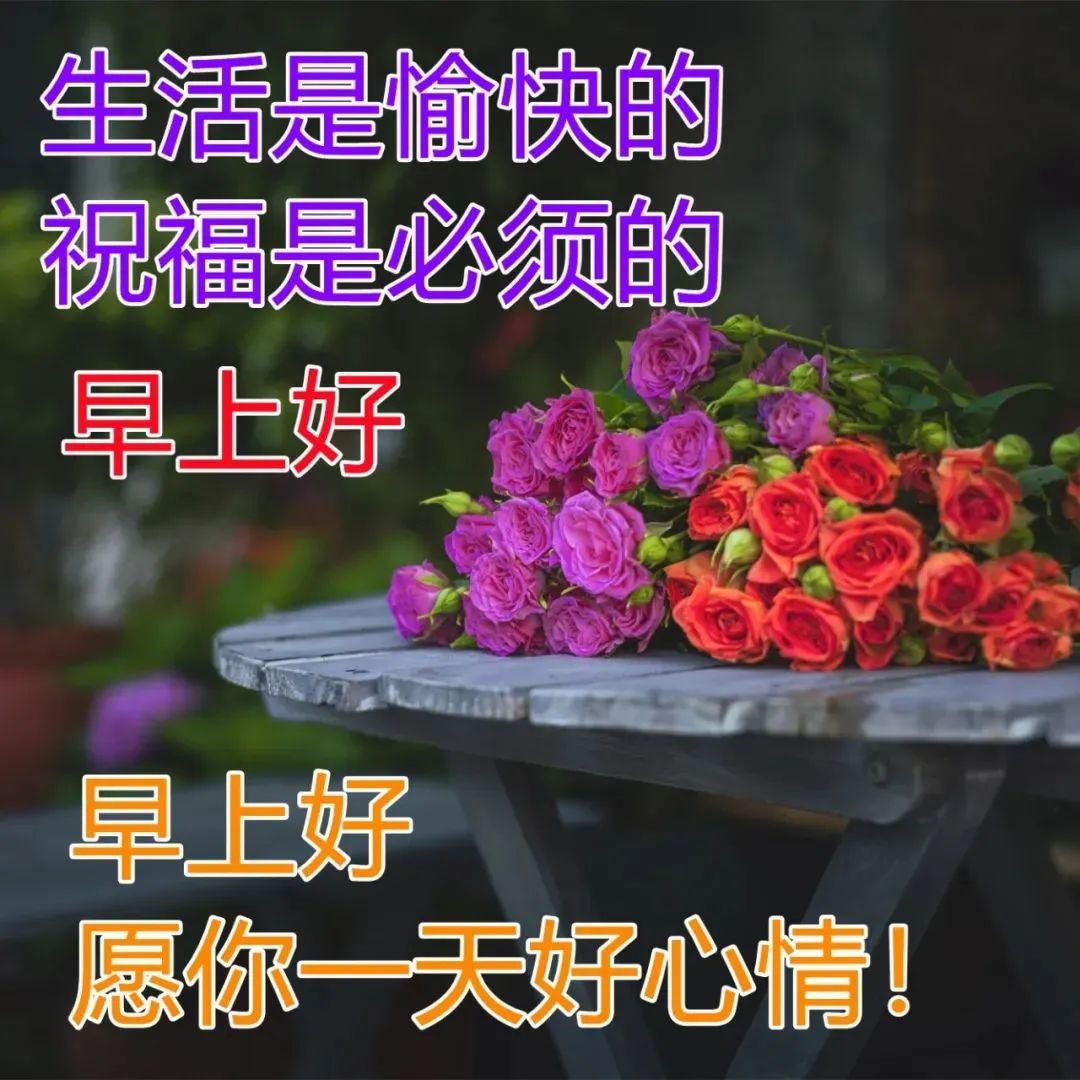 一份清晨的问候