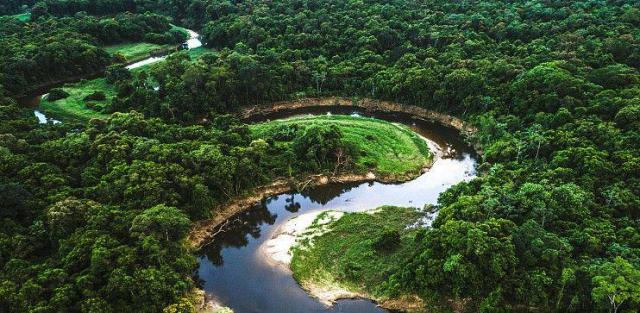 亚马孙雨林遭大面积砍伐引发气候异常：海平面上升