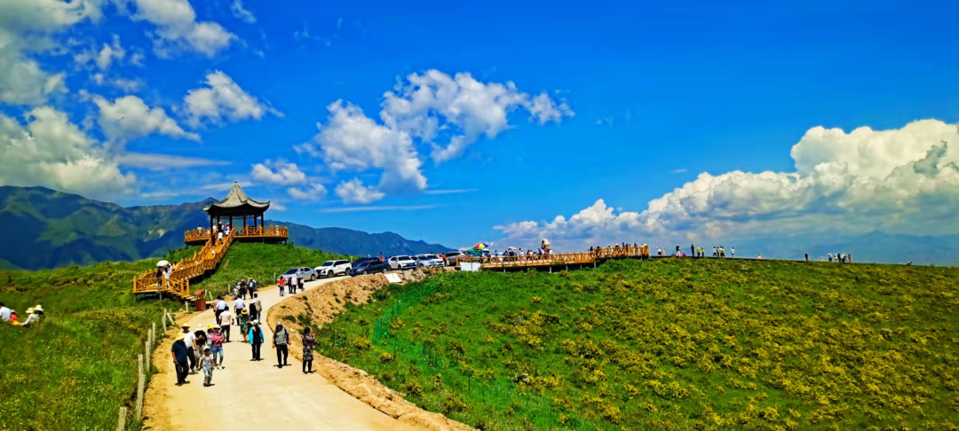 黄草坪,那片魂牵梦绕的格桑花海!