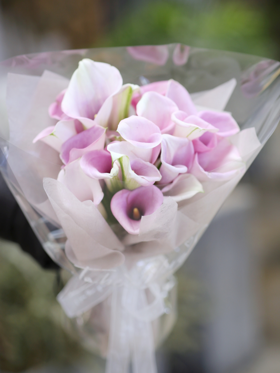 南京花店 马蹄莲花束 小众花材 马蹄莲花束,没有繁复的包装,裸色的内