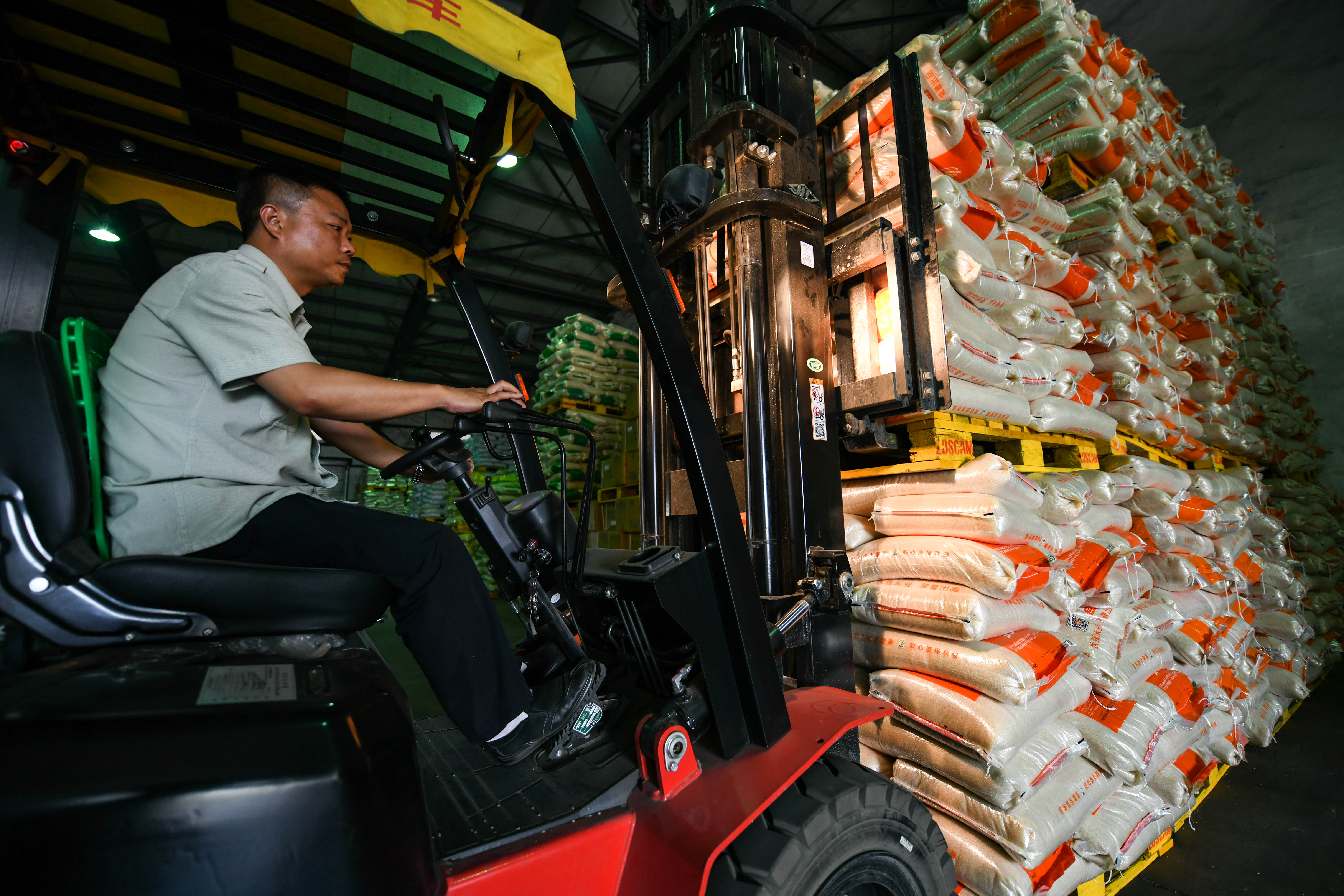 成都:粮食储备忙