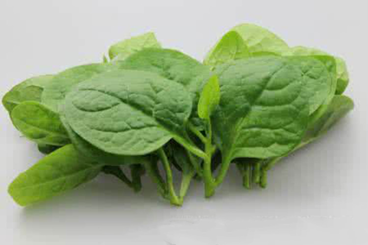 女性养生,不妨多吃三种食物,排出毒素,滋阴补阴,滋养女性子宫