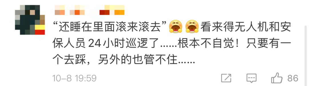 热点|“进入花田你没有花美！”景区一段硬核喊话爆火，网友：你大妈还是你大妈