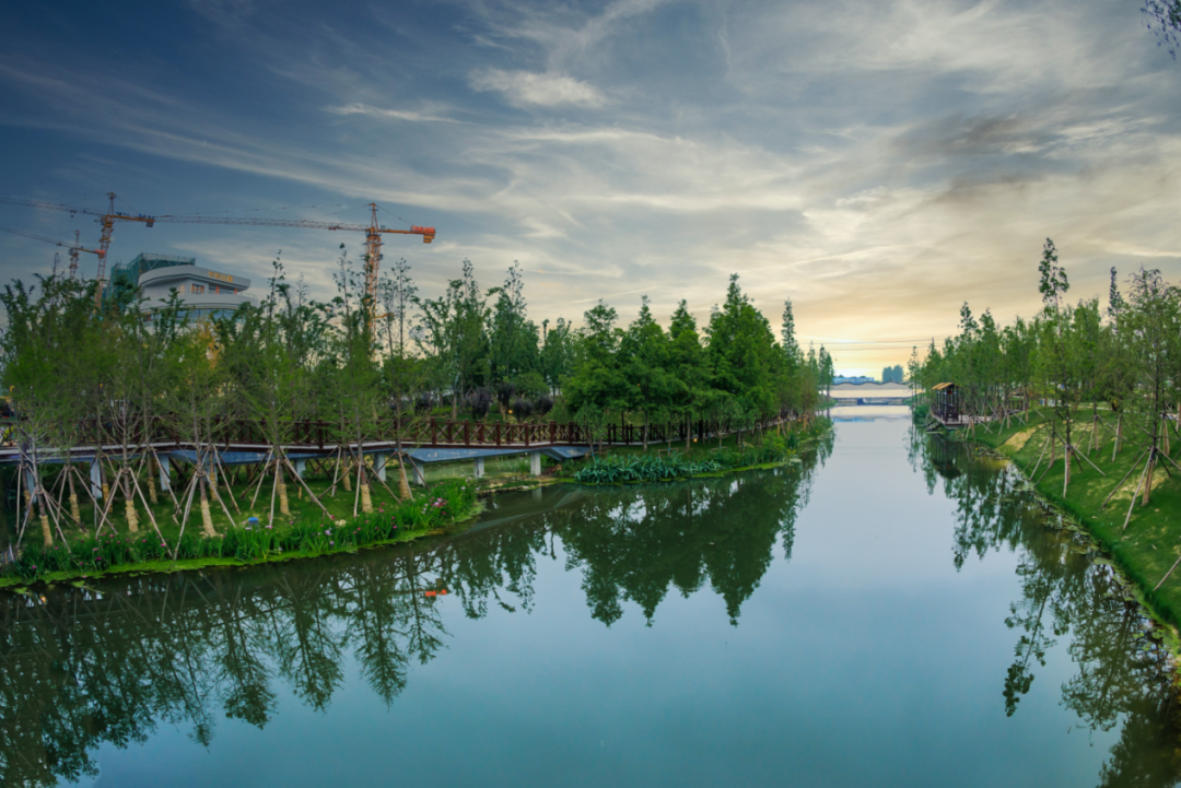 栖居巨作|入主泗洪高品质公园住区,悦鉴生活之美