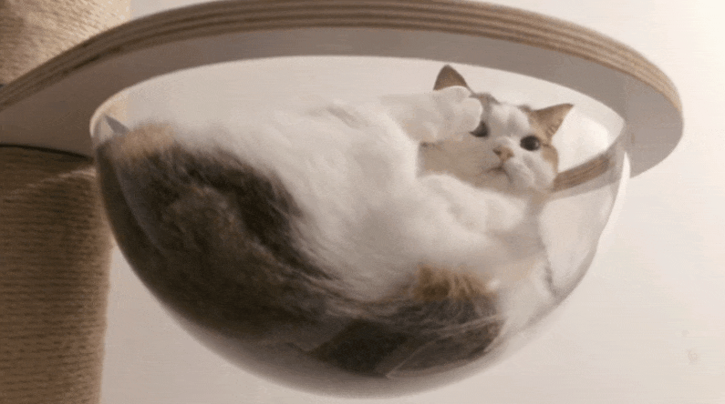 每天都在用的表情包,竟然是个up主?