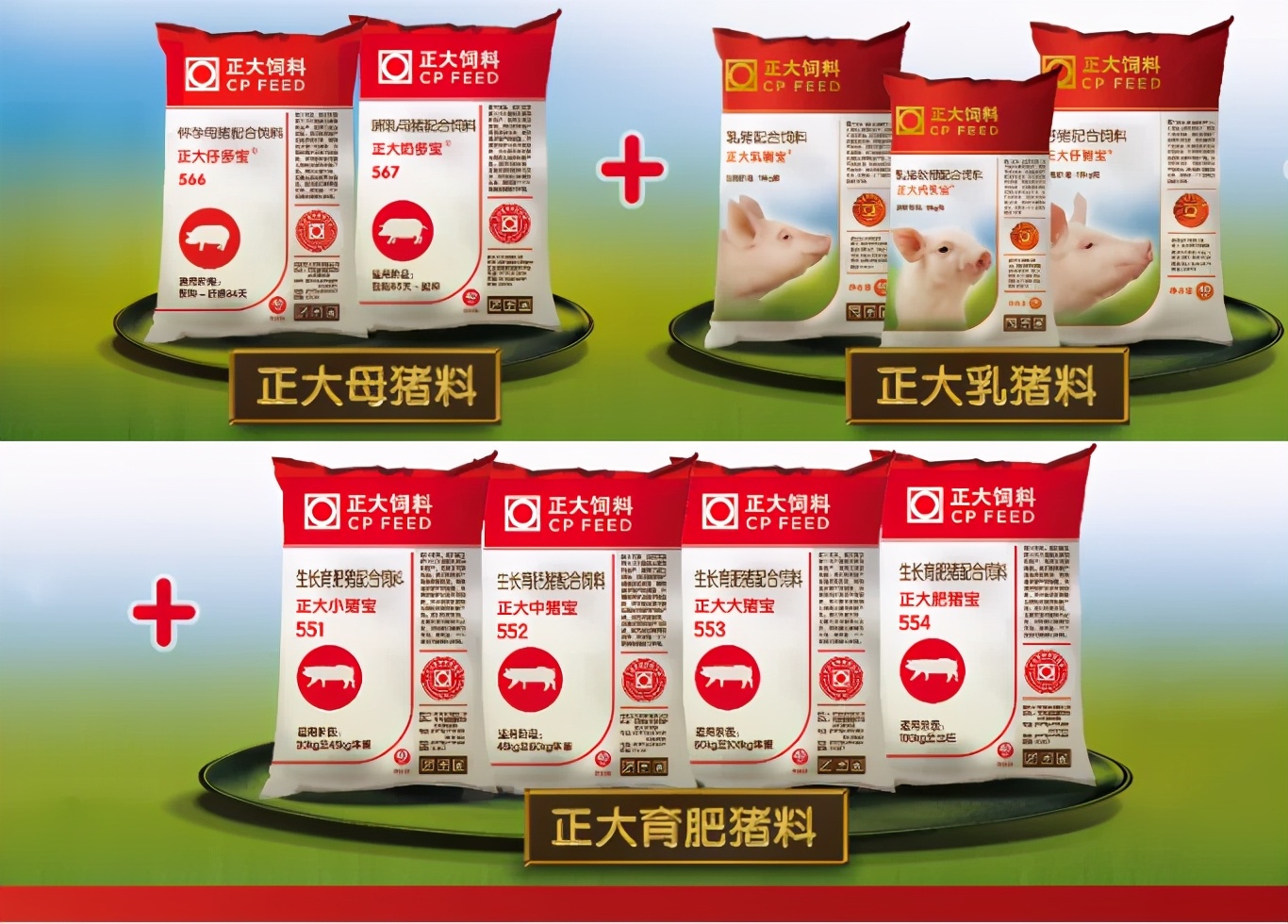 创新者先!"中国好饲料·第9季"陕西正大闪亮登场,为ta点赞!