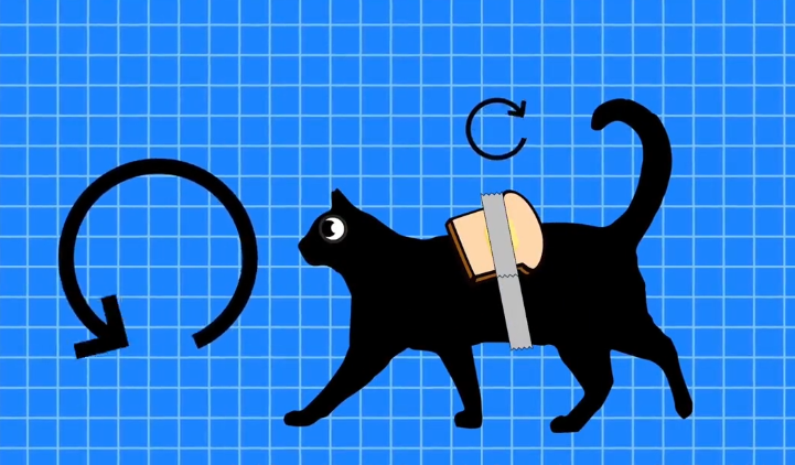 颠覆你认知的"黄油猫悖论"!面包 猫=永动机?