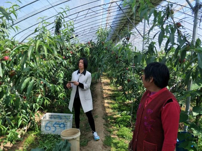 名单揭晓→安丘这位"女农人",优秀!