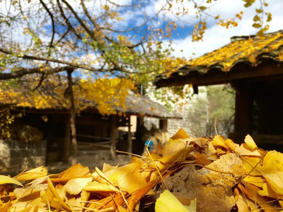 工作累了?那就来这四个地方休息一下吧